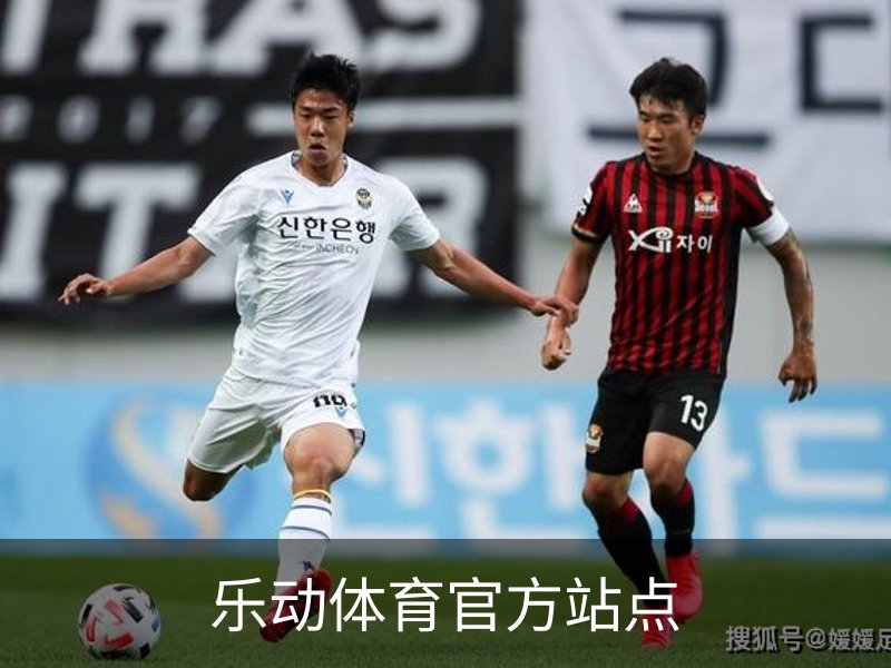 乐动体育官方站点品牌故事